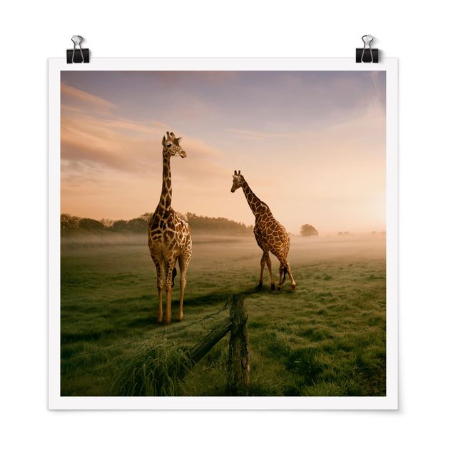 Tavlor träd Surreal Giraffes