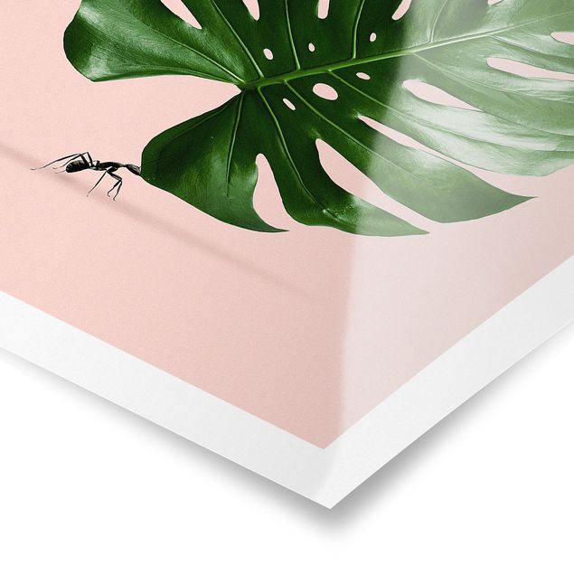 Tavlor Jonas Loose Ant With Monstera Leaf
