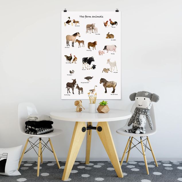 Posters djur Farm Animals