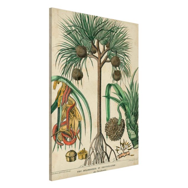 Kök dekoration Vintage Board Exotic Palms I