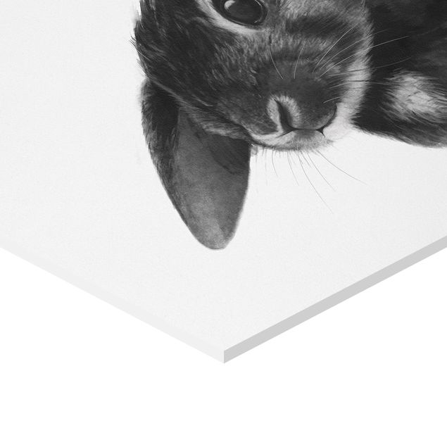 Hexagonala tavlor Illustration Rabbit Black And White Drawing
