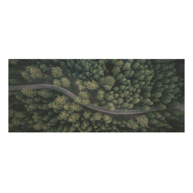 Trätavlor landskap Aerial View - Forest Road From The Top