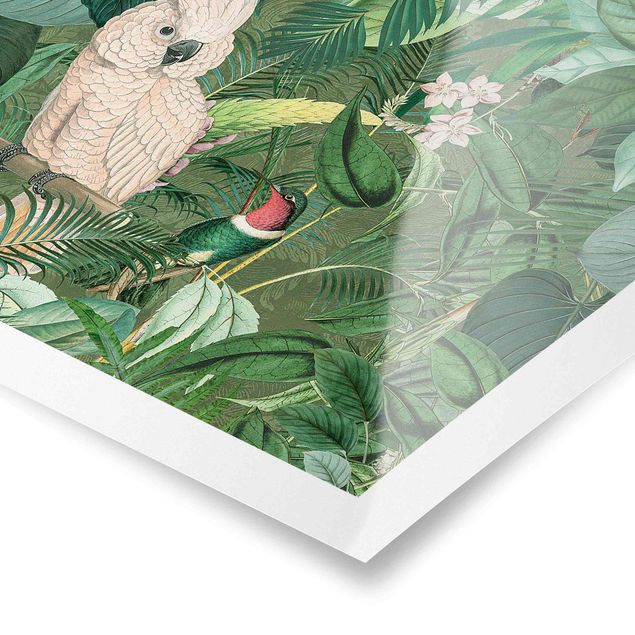 Tavlor Andrea Haase Vintage Collage - Kakadu And Hummingbird