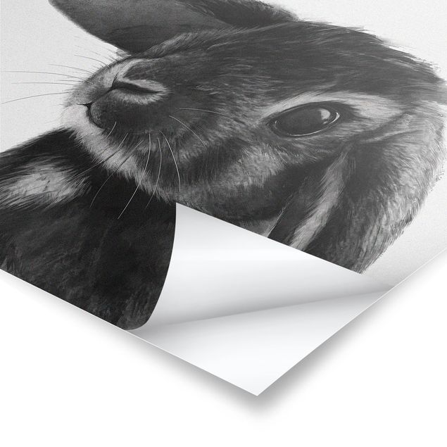 Tavlor Illustration Rabbit Black And White Drawing