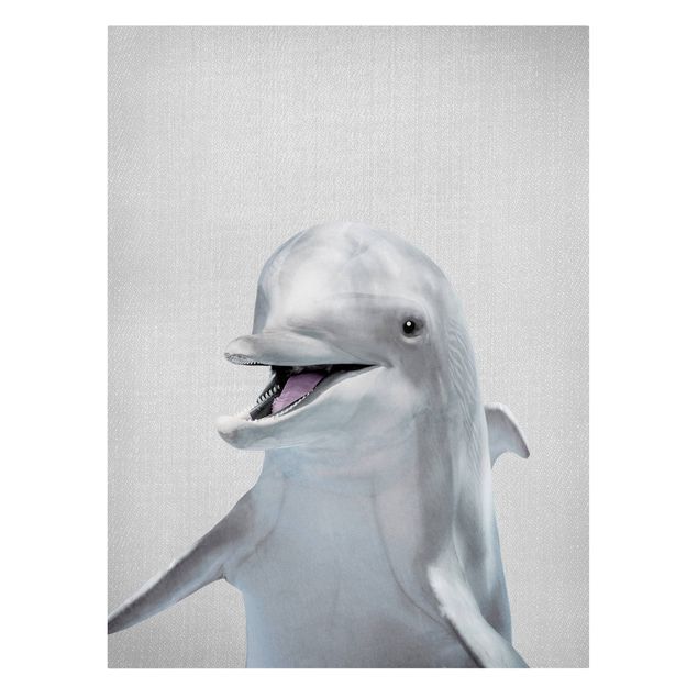 Canvastavlor djur Dolphin Diddi
