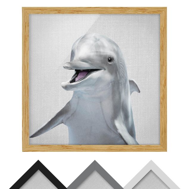 Tavlor svart och vitt Dolphin Diddi