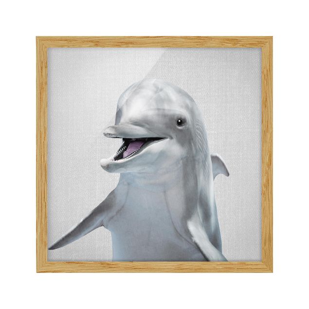 Tavlor med ram djur Dolphin Diddi