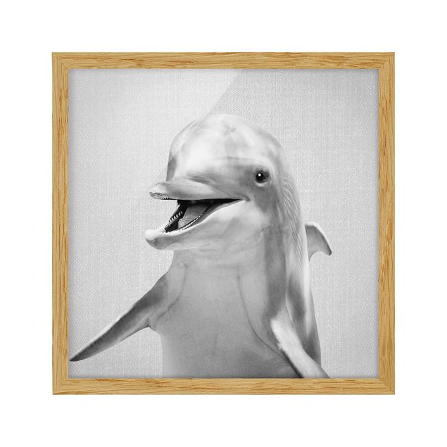 Tavlor med ram djur Dolphin Diddi Black And White