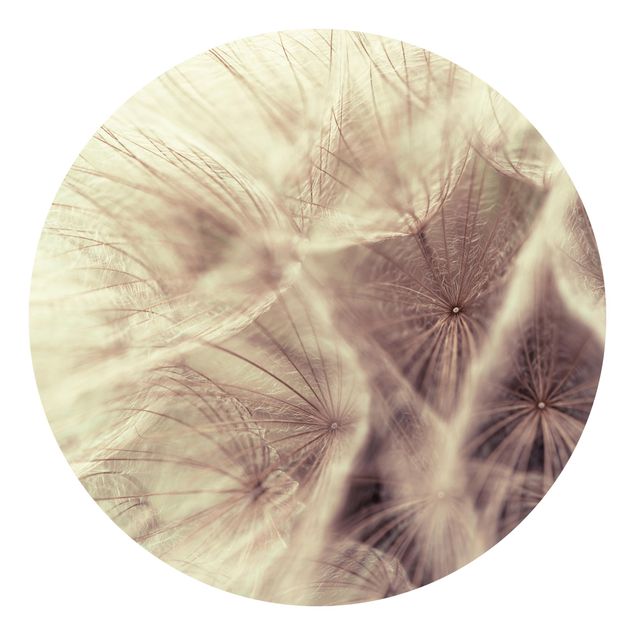 Tapeter modernt Detailed Dandelion Macro Shot With Vintage Blur Effect