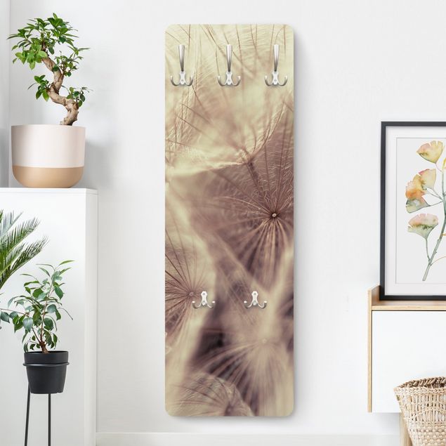 Klädhängare vägg blommor  Detailed Dandelion Macro Shot With Vintage Blur Effect