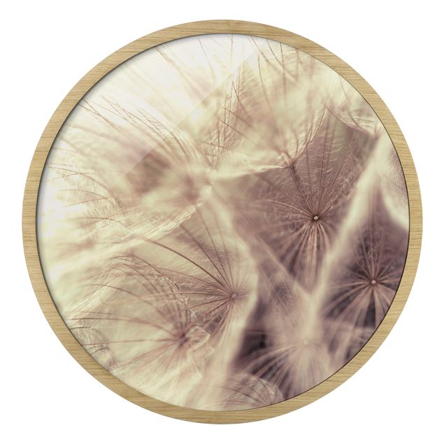 Tavlor med ram Detailed Dandelion Macro Shot With Vintage Blur Effect