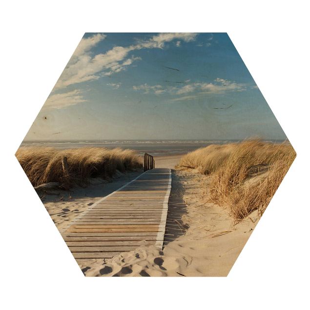 Hexagonala tavlor Baltic Sea Beach