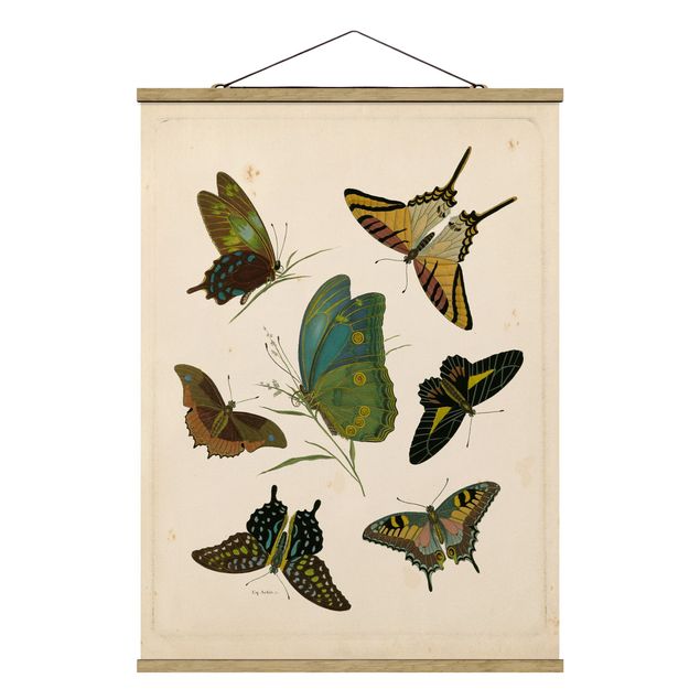 Tavlor vintage Vintage Illustration Exotic Butterflies