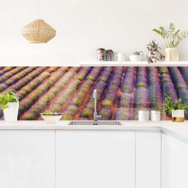 Stänkskydd kök blommor  Picturesque Lavender Field