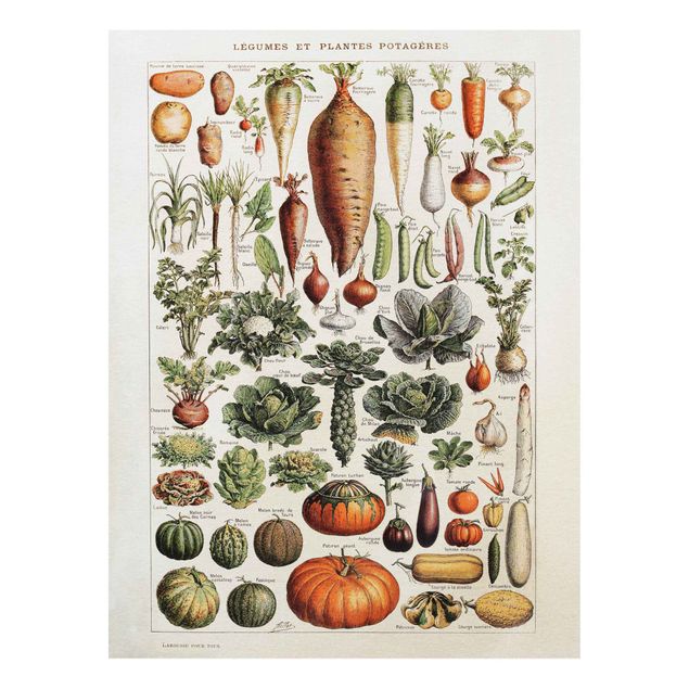 Tavlor grönsaker Vintage Board Vegetables