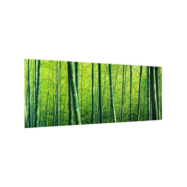 stänkskydd kök glas Bamboo Forest