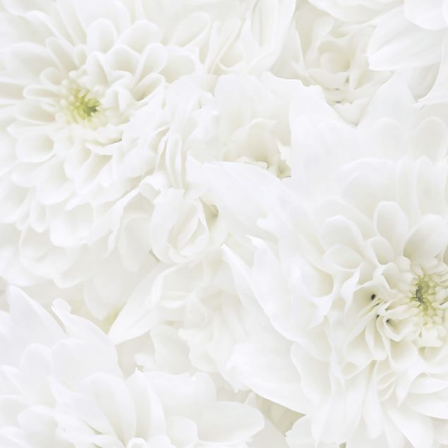 Självhäftande folier vit Dahlia Sea Of Flowers White
