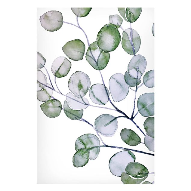 Magnettavla blommor  Green Watercolour Eucalyptus Branch