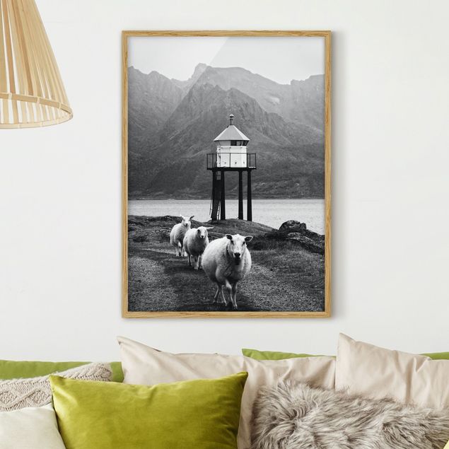 Kök dekoration Three Sheep On the Lofoten