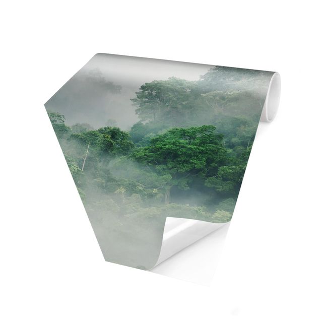 Fototapeter grön Jungle In The Fog