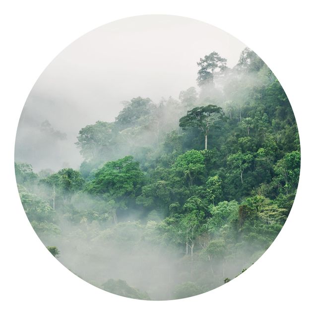 Fototapeter landskap Jungle In The Fog