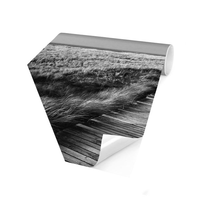 Fototapeter svart och vitt Dune Path on Sylt II