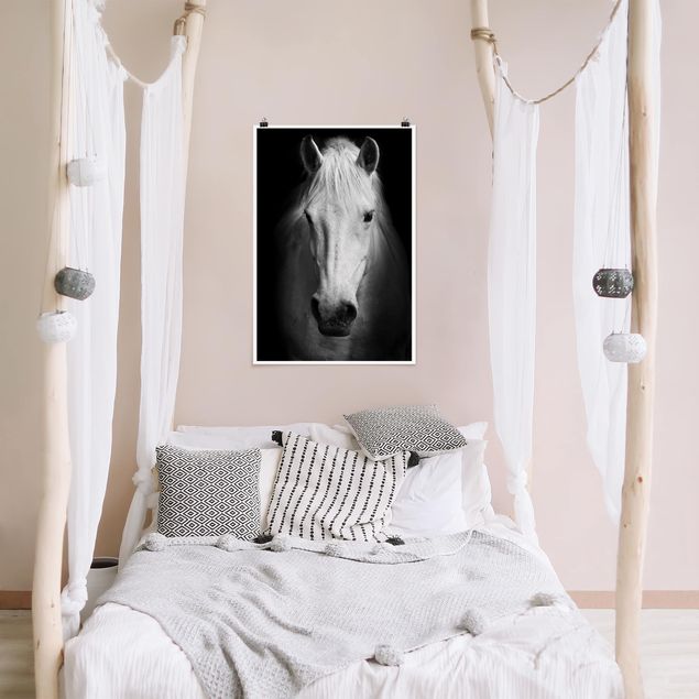 Posters svart och vitt Dream Of A Horse