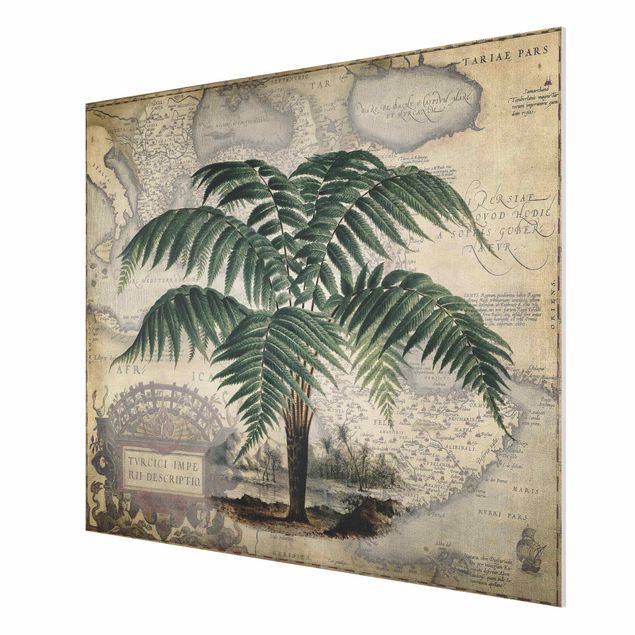 Tavlor blommor Vintage Collage - Palm And World Map