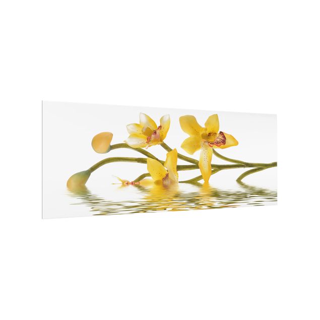 glasskiva kök Saffron Orchid Waters