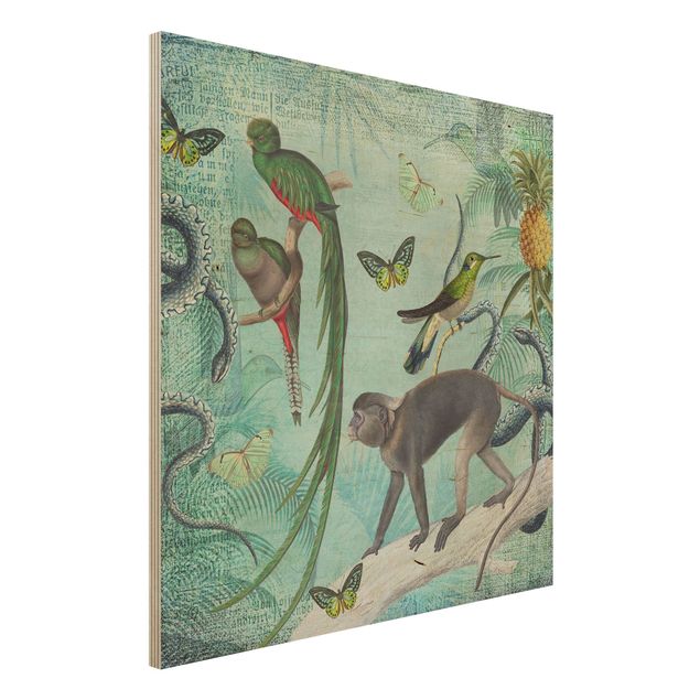 Kök dekoration Colonial Style Collage - Monkeys And Birds Of Paradise