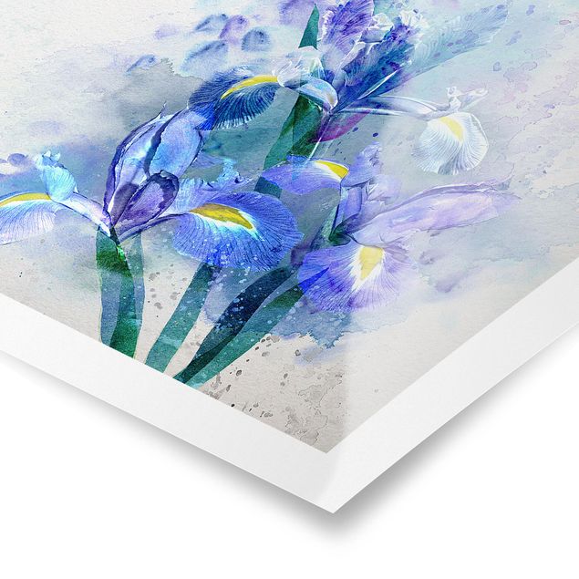 Tavlor blå Watercolour Flowers Iris