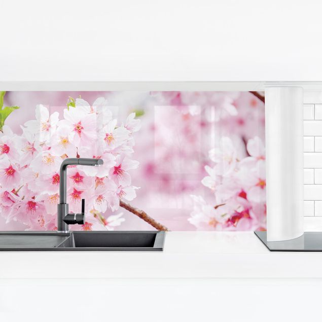 Självhäftande folier Japanese Cherry Blossoms
