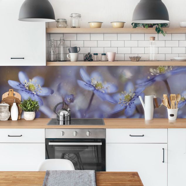 Stänkskydd kök blommor  Anemone In Blue