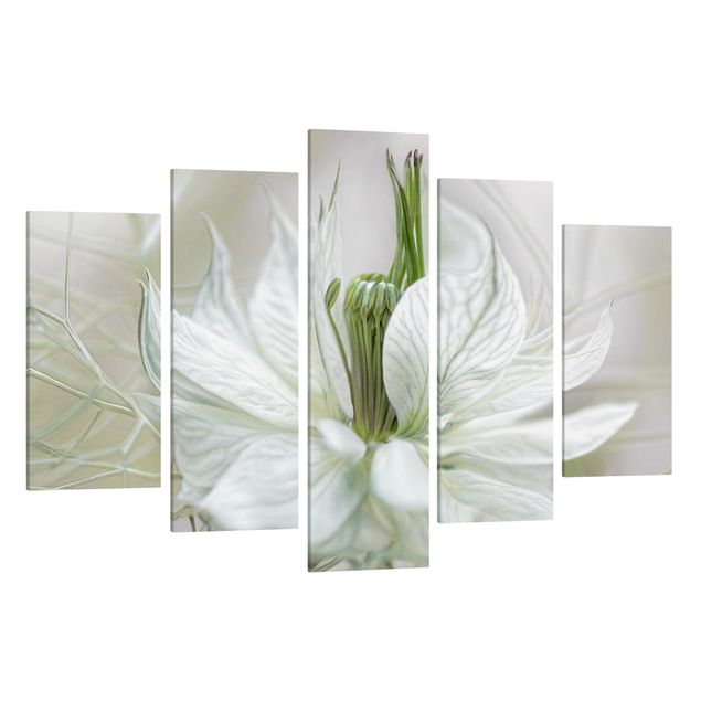 Canvastavlor blommor  White Nigella