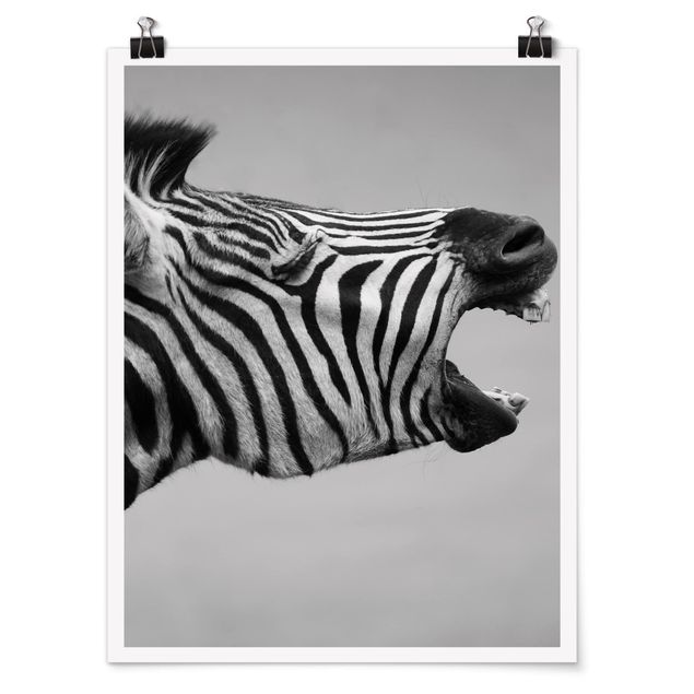Posters djur Roaring Zebra ll