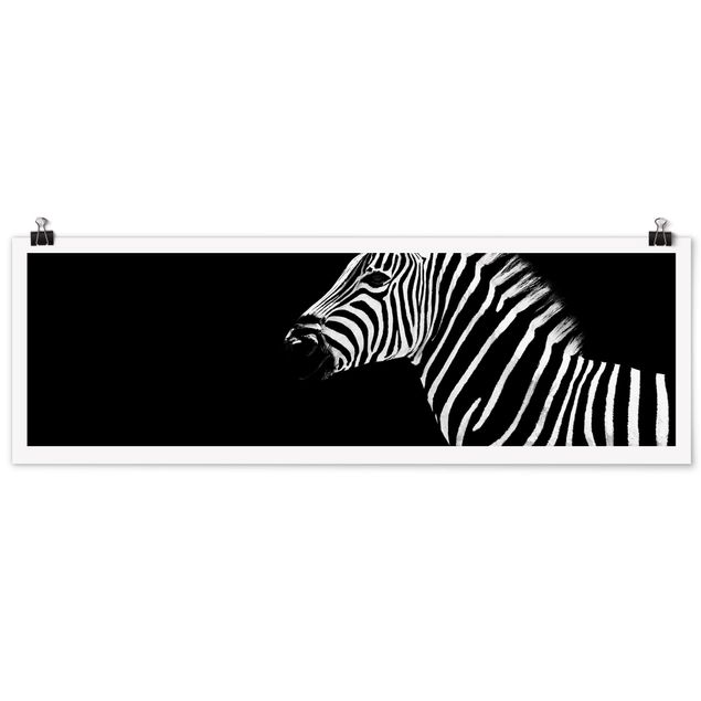 Posters djur Zebra Safari Art