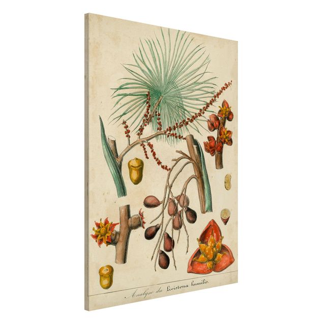 Kök dekoration Vintage Board Exotic Palms III