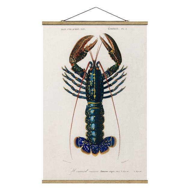 Tavlor djur Vintage Board Blue Lobster