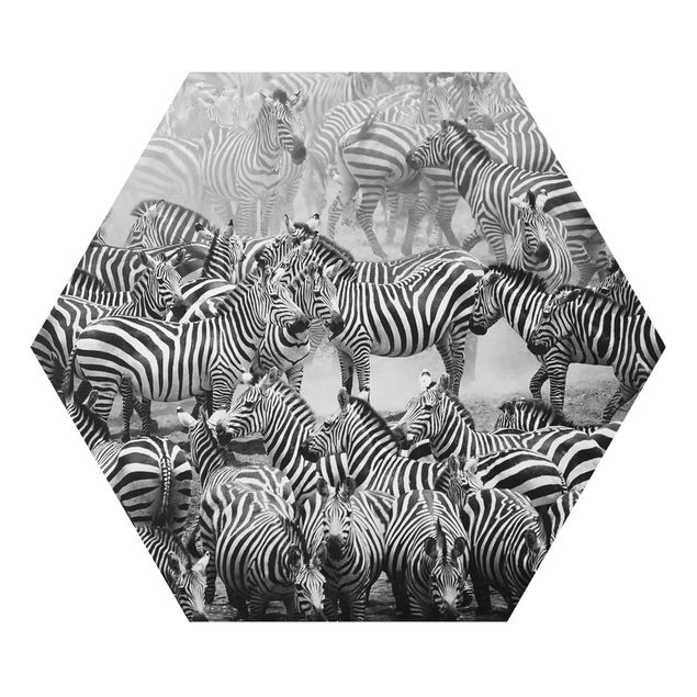 Tavlor djur Zebra herd II