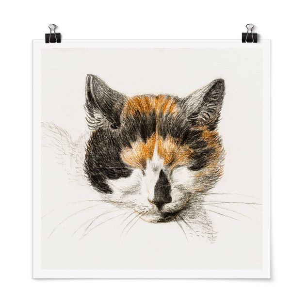 Posters djur Vintage Drawing Cat IV