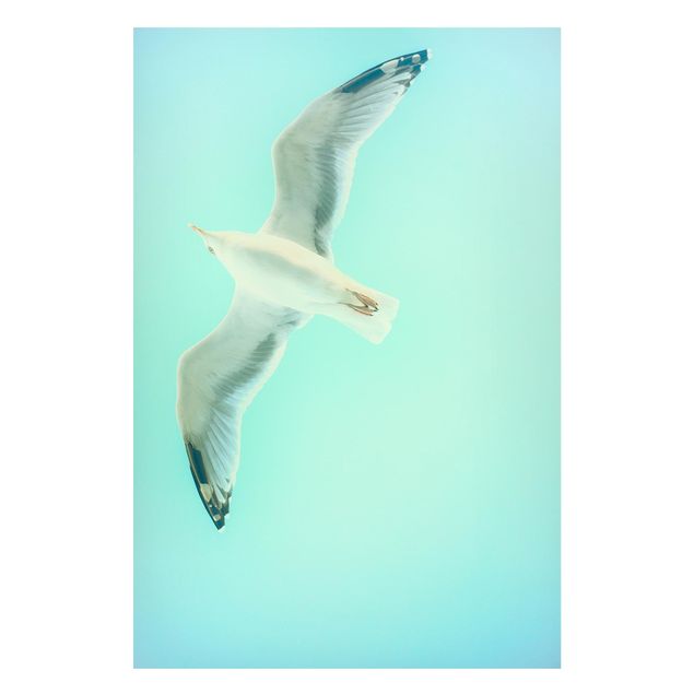 Magnettavla djur Blue Sky With Seagull