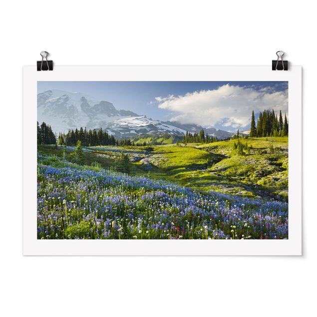 Tavlor landskap Mountain Meadow With Blue Flowers in Front of Mt. Rainier