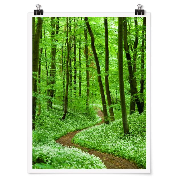 Posters landskap Romantic Forest Track