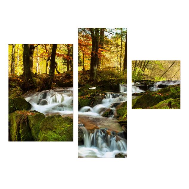 Tavlor bergen Waterfall Autumnal Forest
