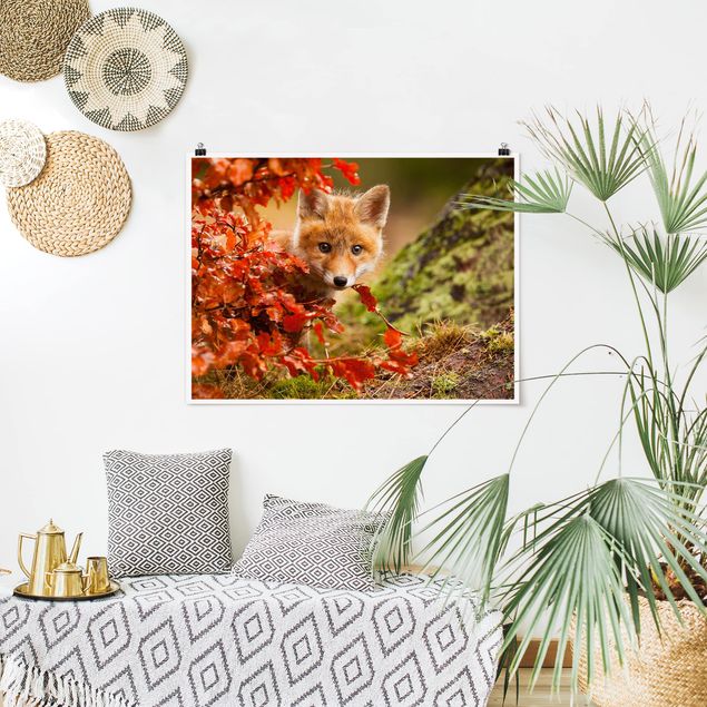 Tavlor träd Fox In Autumn