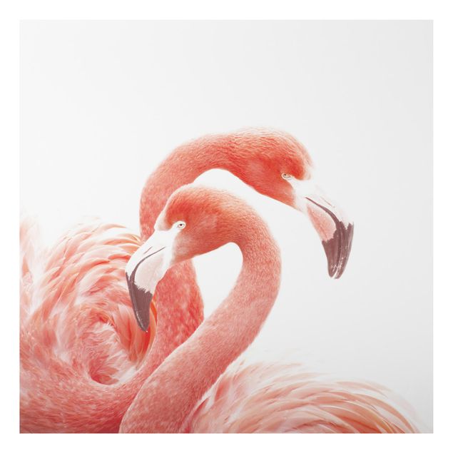 Tavlor fjädrar Two Flamingos