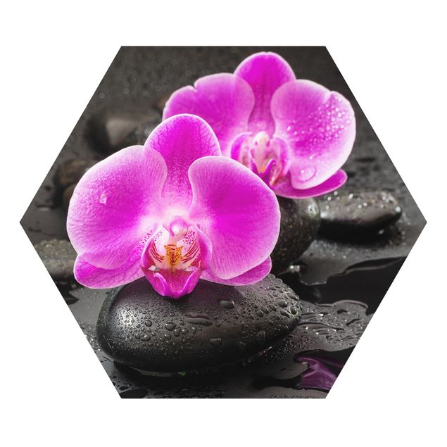 Tavlor konstutskrifter Pink Orchid Flowers On Stones With Drops