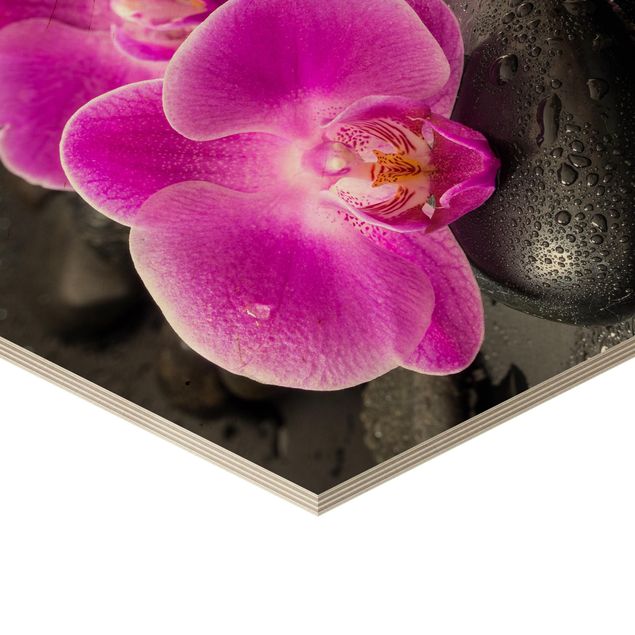Hexagonala tavlor Pink Orchid Flowers On Stones With Drops