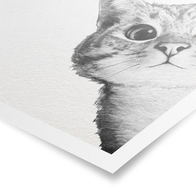 Posters konstutskrifter Illustration Cat Drawing Black And White