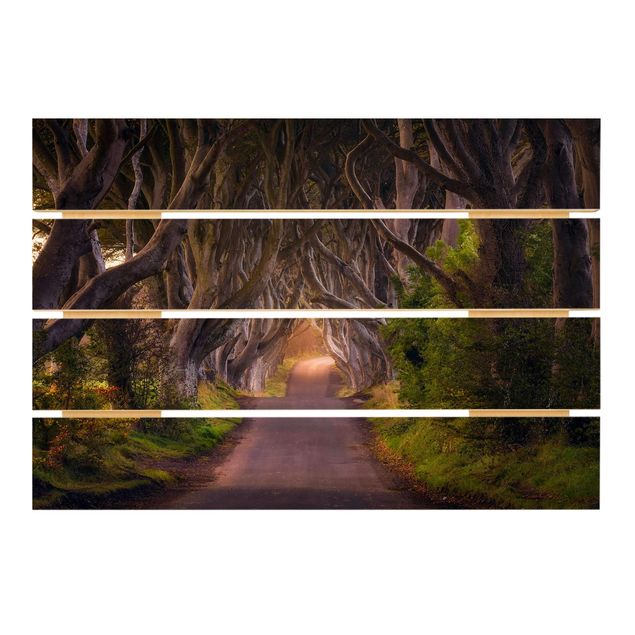 Trätavlor Tunnel Of Trees